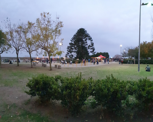 Comentarii opinii despre Riomío