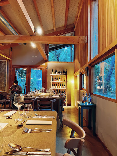 RP82, R8400 Lago Gutiérrez, Río Negro