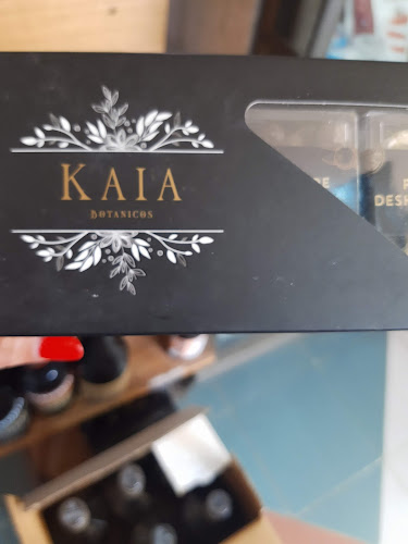 Placeres Terrenales - San Francisco