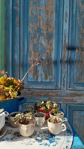 Opinii despre Falucho y la vía în Mar del Plata - Gastronomía y hostelería