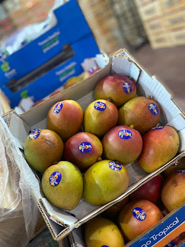 Av. Balbín 1150, B7000 Tandil, Provincia de Buenos Aires