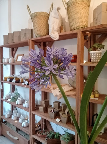 Organica Elementos - Tigre