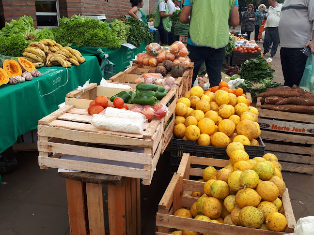 Comentarii opinii despre Feria Franca posadas