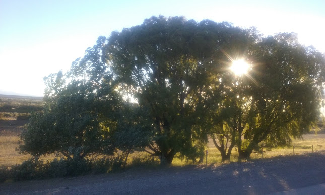 Los Tamariscos - Gastronomía y hostelería