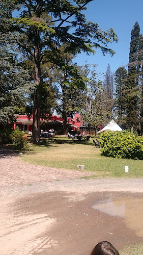 Comentarii opinii despre RODIZIO Campo Luján