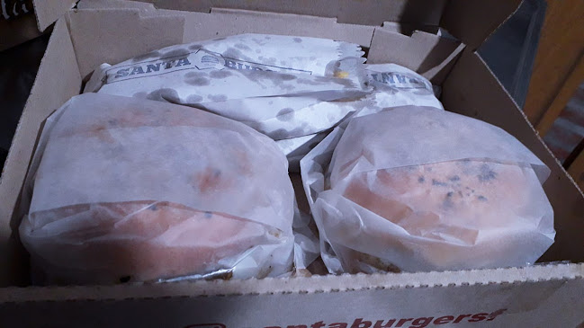 Opinii despre Santa Burger în Santa Fe de la Vera Cruz - Gastronomía y hostelería