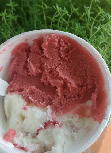 Comentarii opinii despre Nanalu Helados