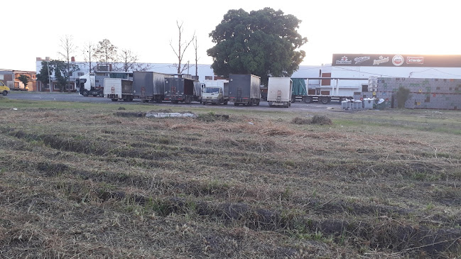 Distribuidora Del Norte Formosa