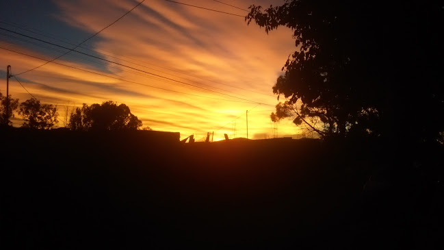 MGG - Gastronomía y hostelería