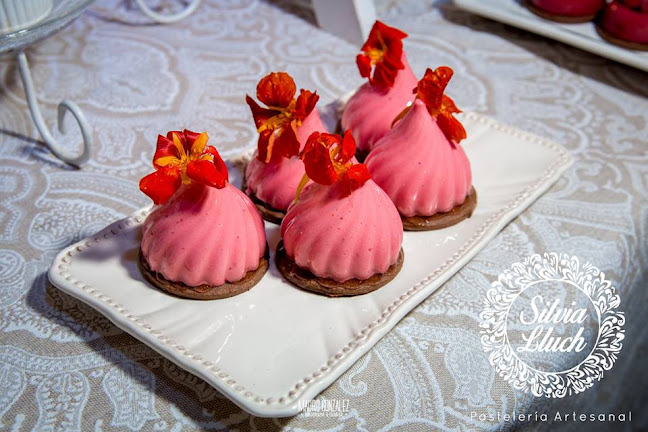 Silvia Lluch Pasteleria Artesanal - Santa Rosa