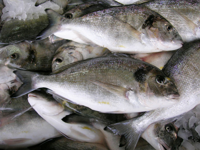 Santiago del Estero 1841, B7600 Mar del Plata, Provincia de Buenos Aires