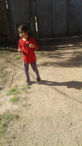 Opinii despre Artemisa în Bahía Blanca - Gastronomía y hostelería