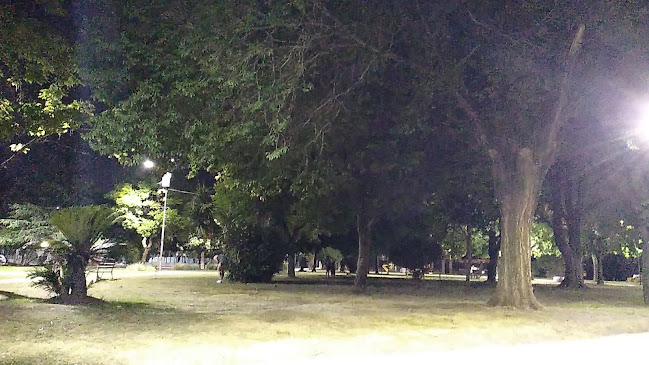 Comentarii opinii despre BEERFACE PILAR