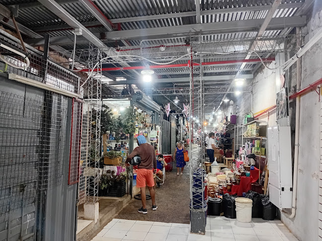 Mercado Modelo - La Placita - Posadas