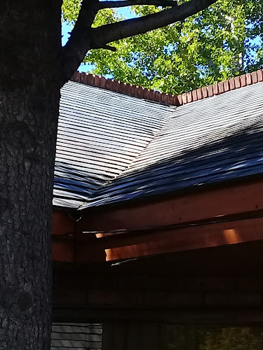 Opinii despre Chidoro în Neuquén - Gastronomía y hostelería