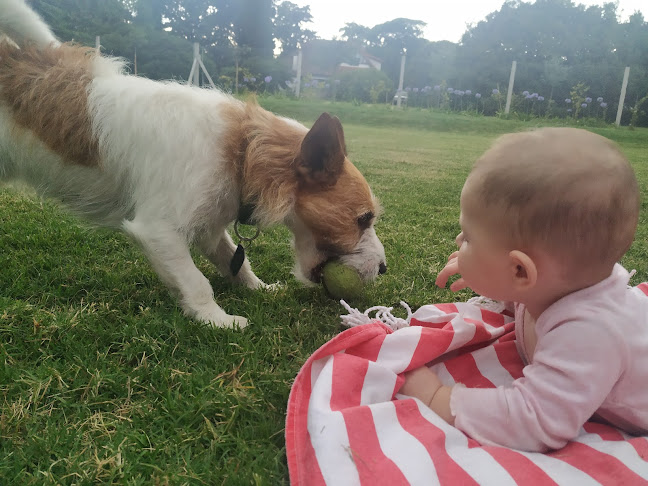 La Colorada - Pizzas Y Empanada