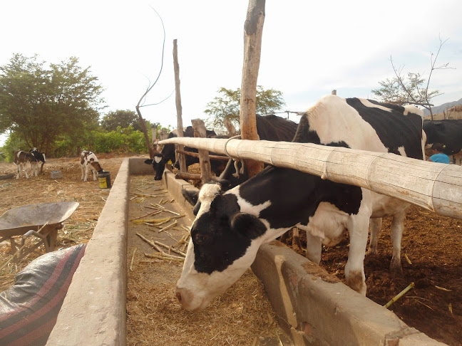 La Cria - Gastronomía y hostelería