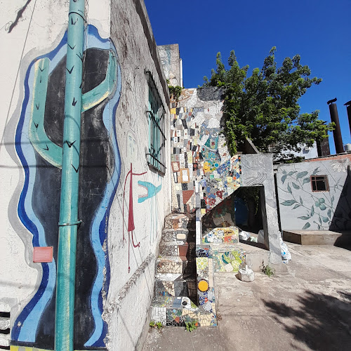 Comentarii opinii despre Almacén de Tigre