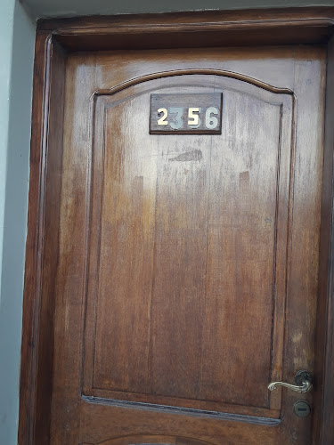 Pizza caseritas - San Salvador de Jujuy