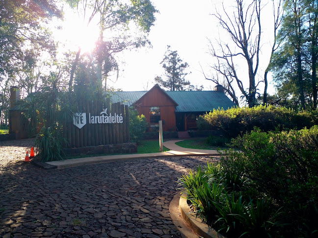 Comentarii opinii despre Camellias Golf Campos de Te