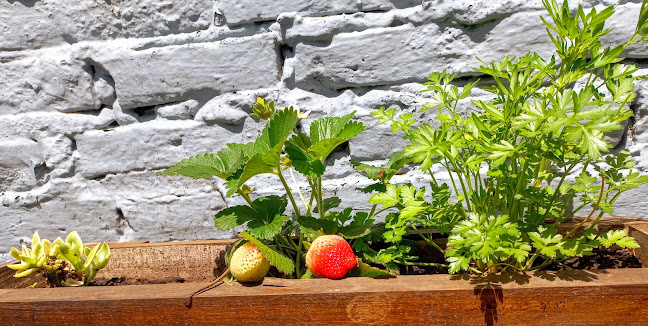 Comentarii opinii despre Heladería Calabrono