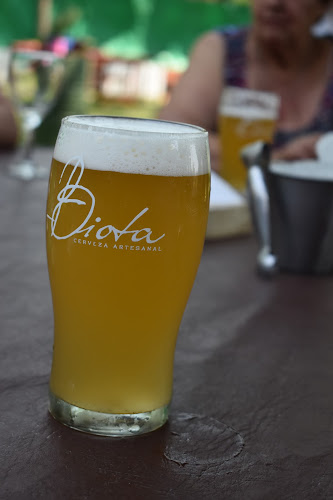 Comentarii opinii despre Pampa Simplemente Campo