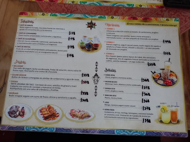 Elefante Bengal •ꜱᴀʙᴏʀᴇꜱ ᴅᴇ ʟᴀ ɪɴᴅɪᴀ•