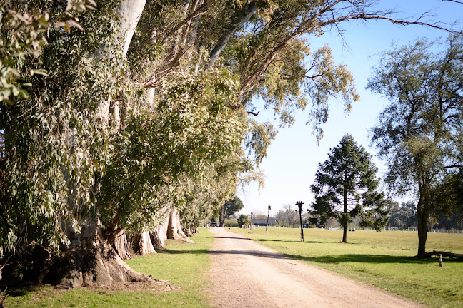 RODIZIO Campo Luján