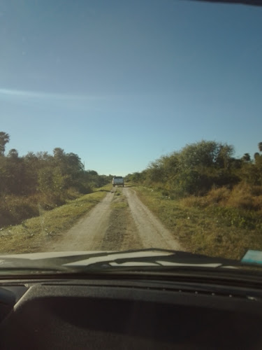 Comentarii opinii despre BASTITO 🍔