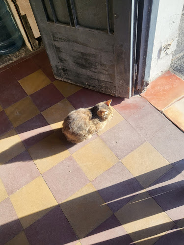 Opinii despre Panaderia la plaza în Santa Fe de la Vera Cruz - Gastronomía y hostelería