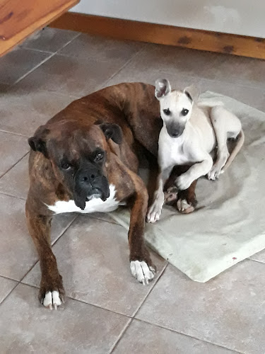 25 de Mayo 658, E3202 Concordia, Entre Ríos