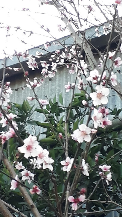Cabaña El Arranque Gualeguaychú