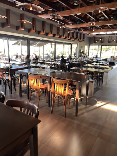 Comentarii opinii despre Riomío