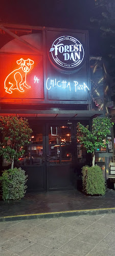 Comentarii opinii despre ForestDan