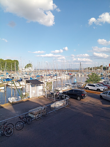 Parrilla nelly - Gastronomía y hostelería