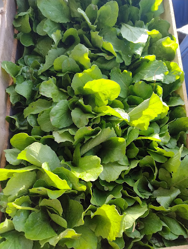 Opinii despre Central Tandil în Tandil - Gastronomía y hostelería