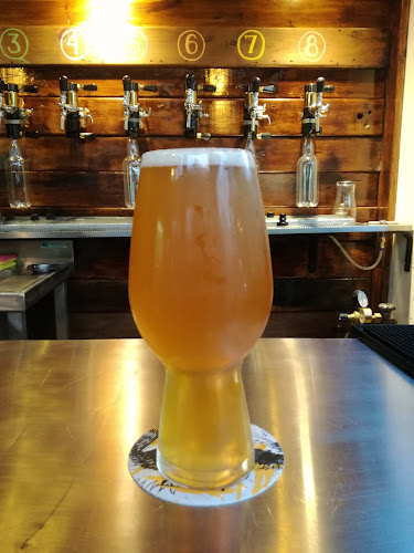 Comentarii opinii despre BROUWEN