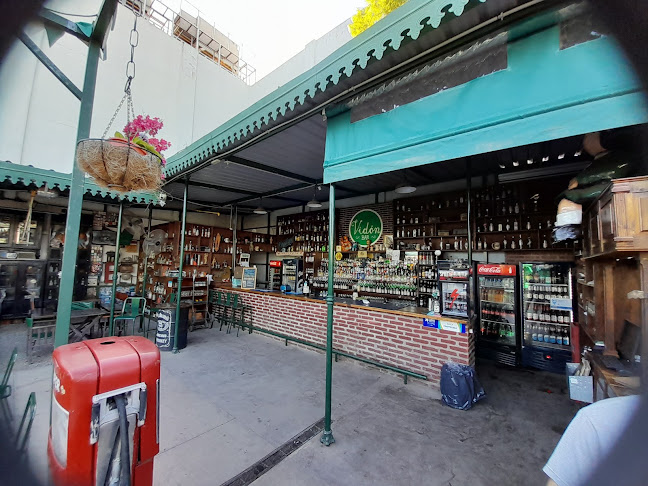 𝒱𝒾𝒹𝑜́𝓃 – ʙᴀʀ [Cerro de las Rosas]