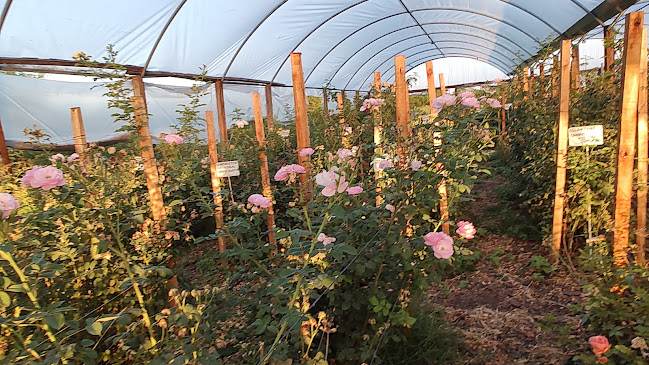 Blvd. 12 de Octubre, 17 de octubre y, Concepción del Uruguay, Entre Ríos