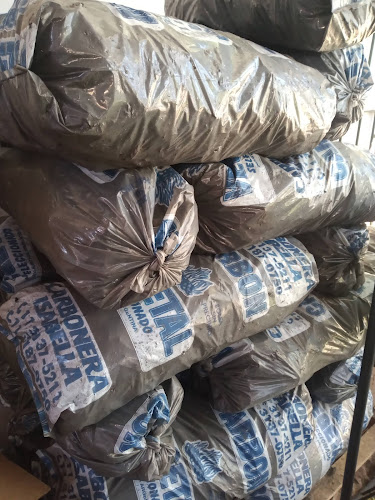 Almacén Pipi - Gastronomía y hostelería