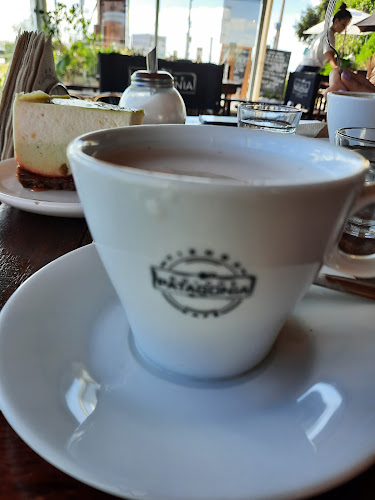 Tienda Dolche Patagonia PUERTO GARDELLA - Gastronomía y hostelería