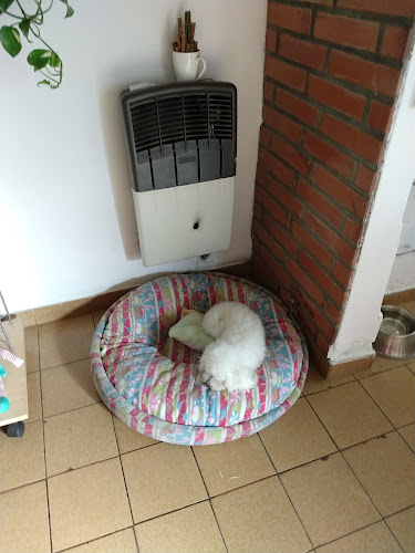 Comentarii opinii despre Pizza King