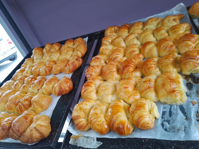 Heladeria Branka Plaza - Gastronomía y hostelería