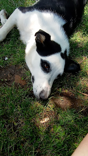 Opinii despre La Princesa Rotisería în Comodoro Rivadavia - Gastronomía y hostelería