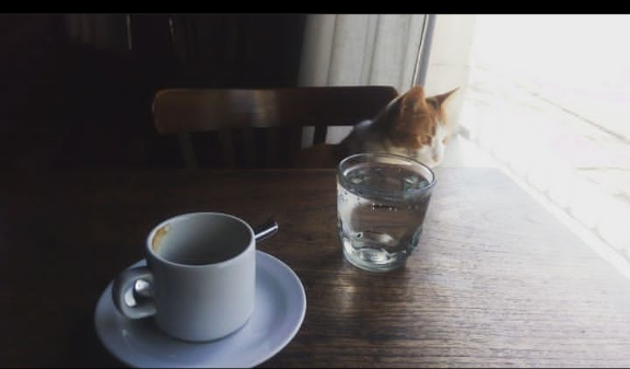 Café Tokio Norte - Gastronomía y hostelería