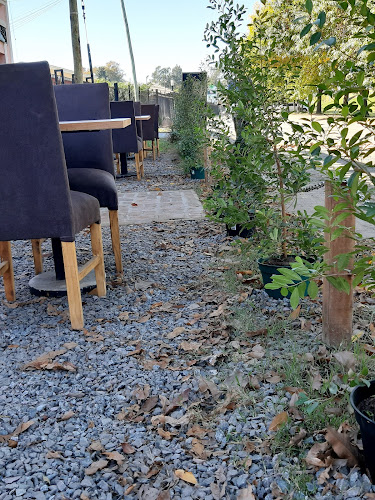 Comentarii opinii despre Casa Elena Restaurante