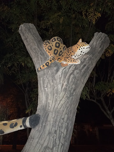 H3700 Sáenz Peña, Chaco