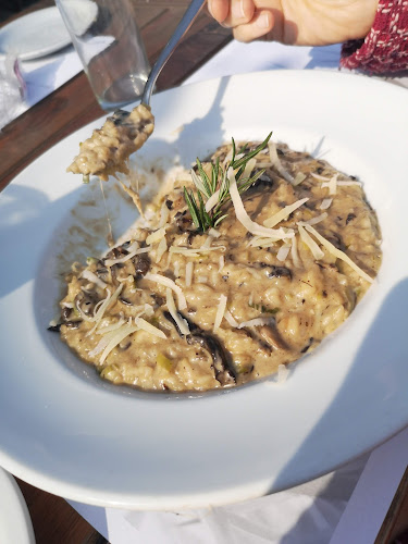 Dardo Rocha 2290 Martínez, B1640 FTD, Provincia de Buenos Aires