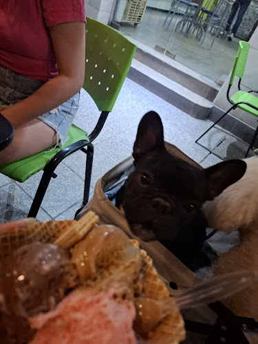 Opinii despre Helados Cremar în Santiago del Estero - Gastronomía y hostelería