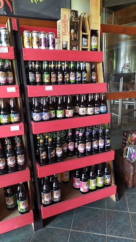 Comentarii opinii despre Anapa S.a. Barba Roja